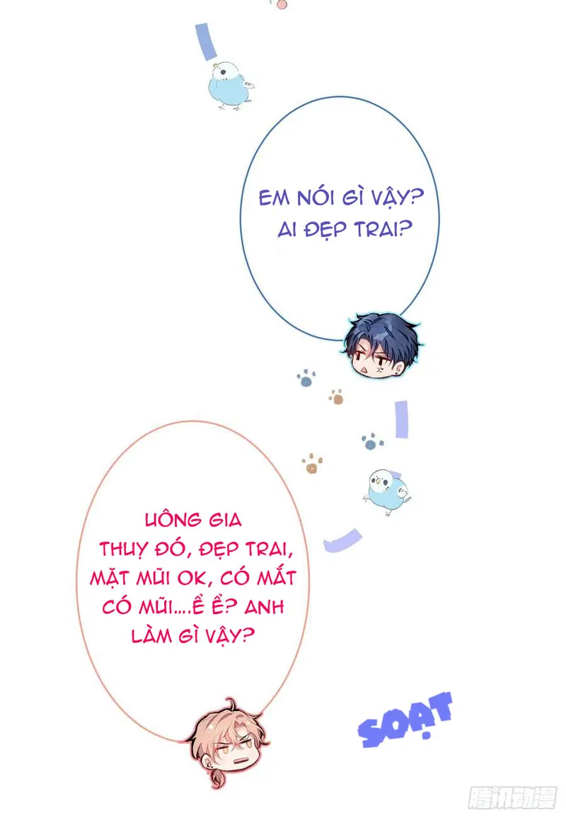 Lại Bị Nam Thần Chọc Trên Hot Search! - Chap 41