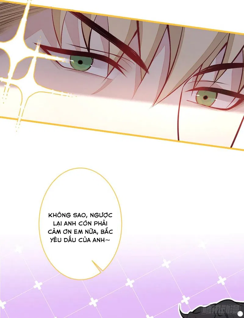 Lại Bị Nam Thần Chọc Trên Hot Search! - Chap 65