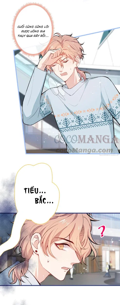 Lại Bị Nam Thần Chọc Trên Hot Search! - Chap 65