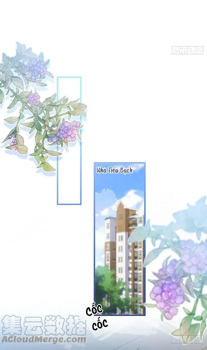 Lại Bị Nam Thần Chọc Trên Hot Search! - Chap 73