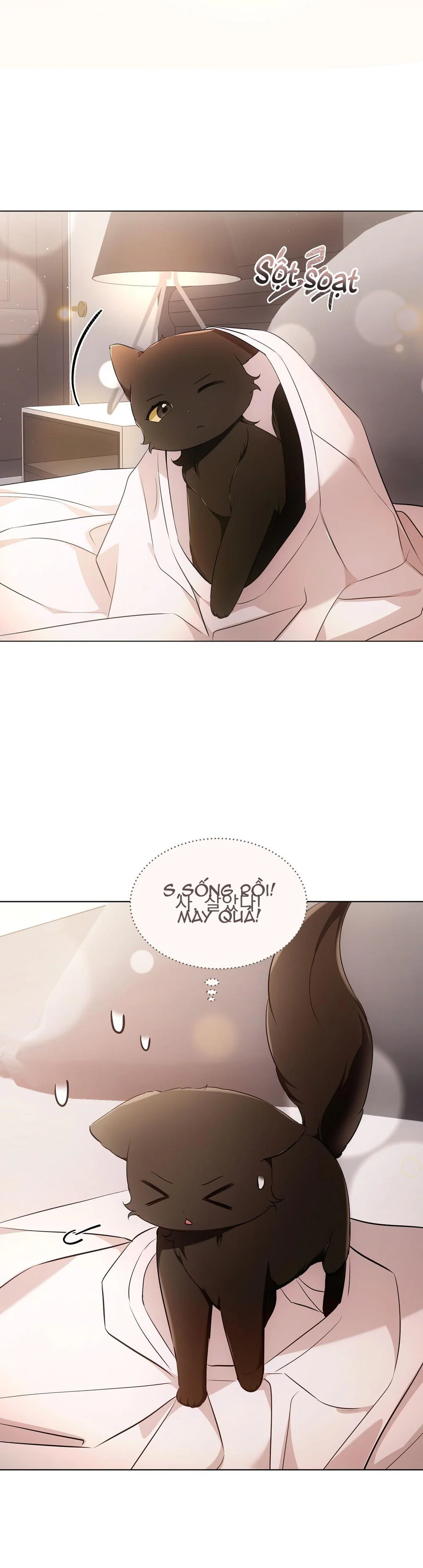 LIỆU PHÁP MÈO - Chap 18