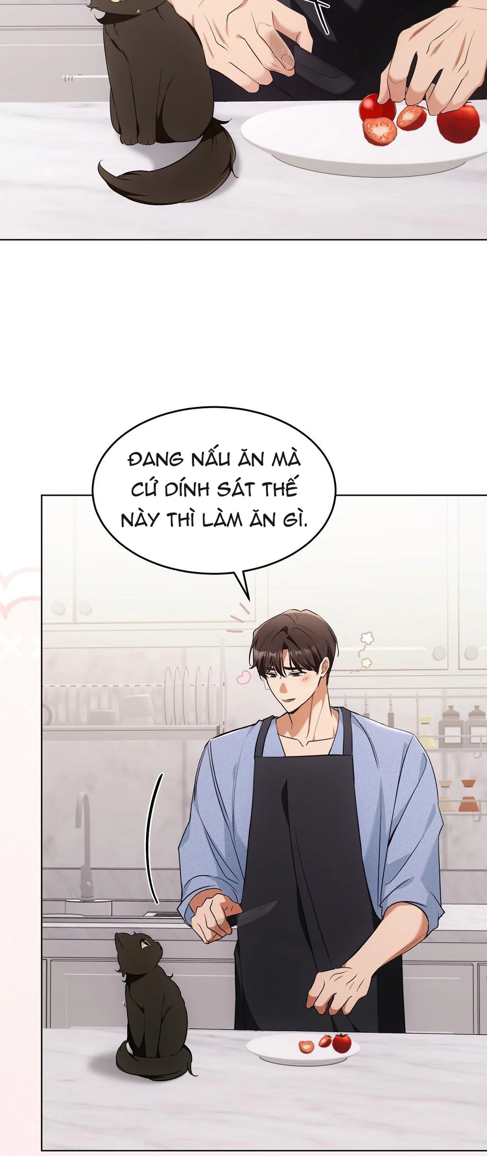 LIỆU PHÁP MÈO - Chap 19