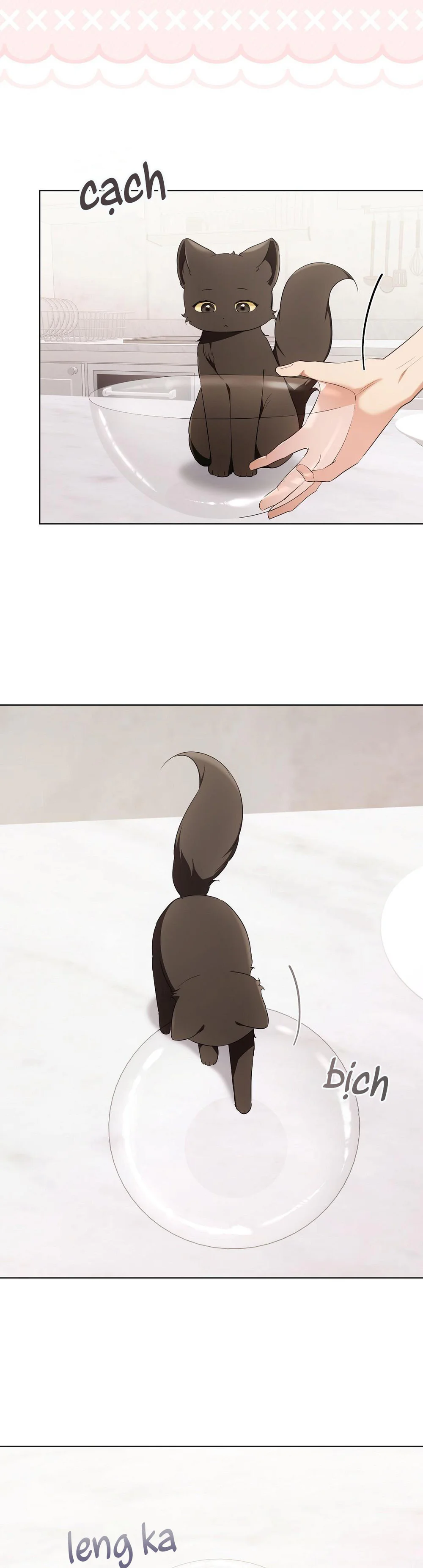 LIỆU PHÁP MÈO - Chap 19