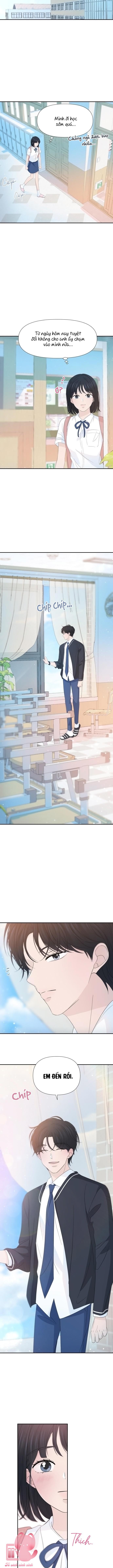 Lời Tỏ Tình Đi Lạc - Chap 27