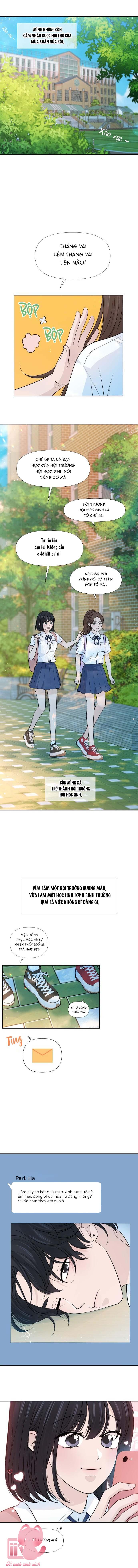 Lời Tỏ Tình Đi Lạc - Chap 72