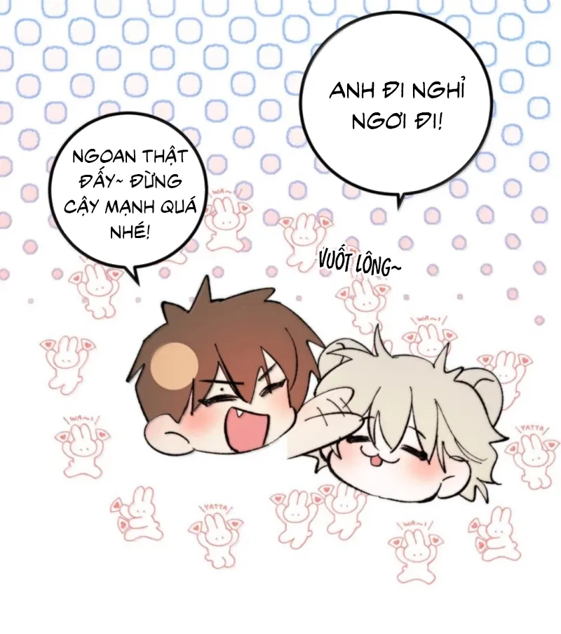 Mỗi Ngày Đều Muốn Làm Bệnh Kiều Vương Tử Xấu Hổ Tới Độn Thổ - Chap 48