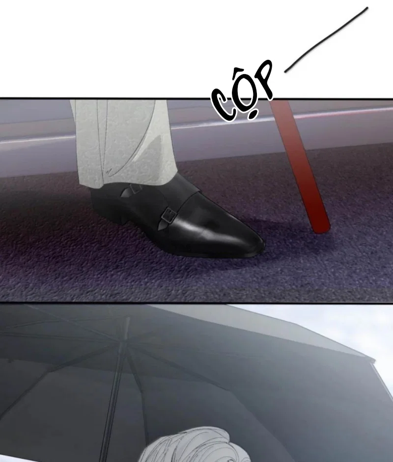 Mỗi Ngày Đều Muốn Làm Bệnh Kiều Vương Tử Xấu Hổ Tới Độn Thổ - Chap 48