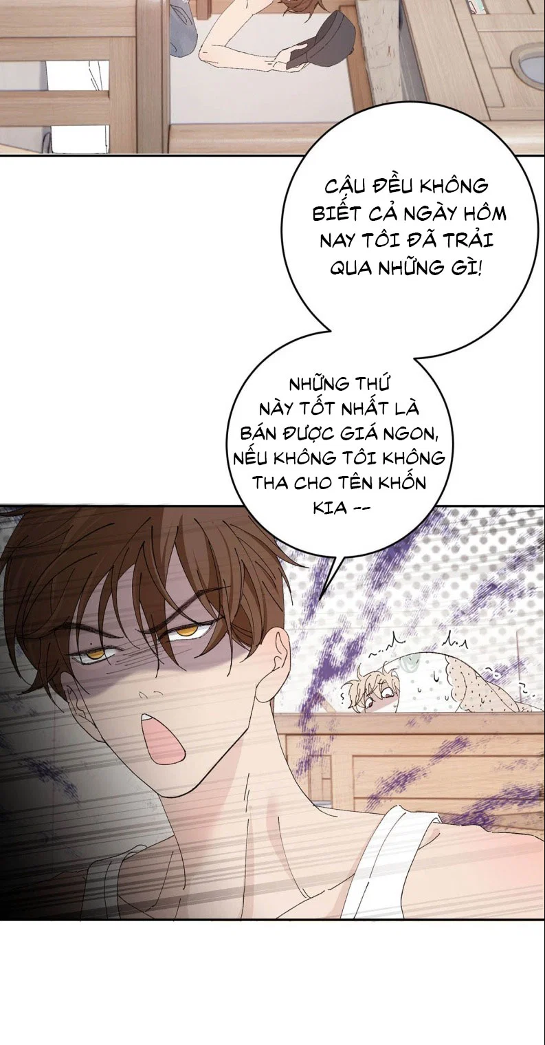 Mỗi Ngày Đều Muốn Làm Bệnh Kiều Vương Tử Xấu Hổ Tới Độn Thổ - Chap 8