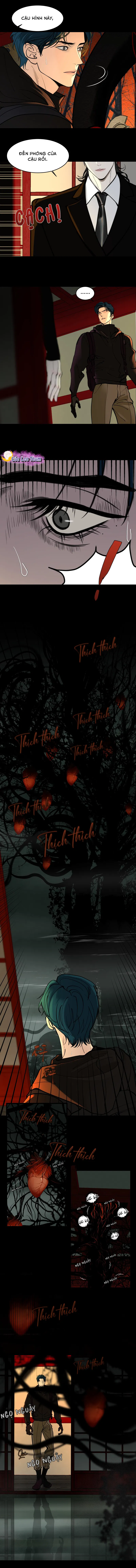 Mối Tình Ngàn Năm - Chap 2