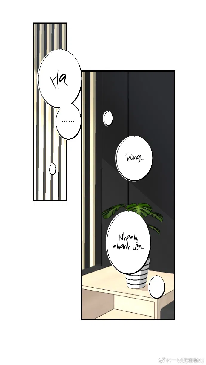 Mối Tình Ngàn Năm - Chap 6.5