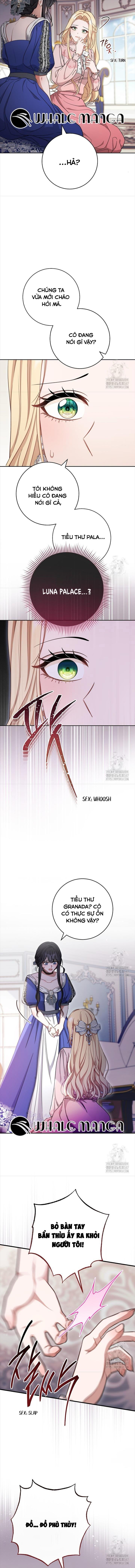 Nam Chính Có Cho Cũng Không Thèm - Chap 15