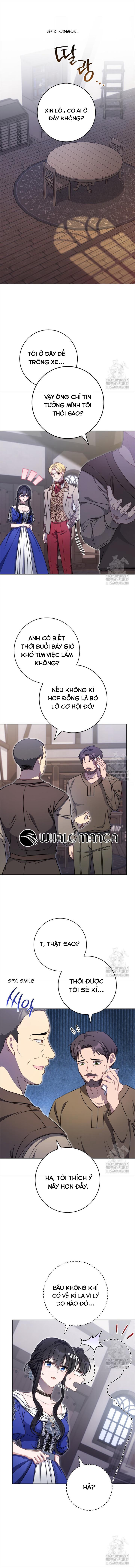 Nam Chính Có Cho Cũng Không Thèm - Chap 17