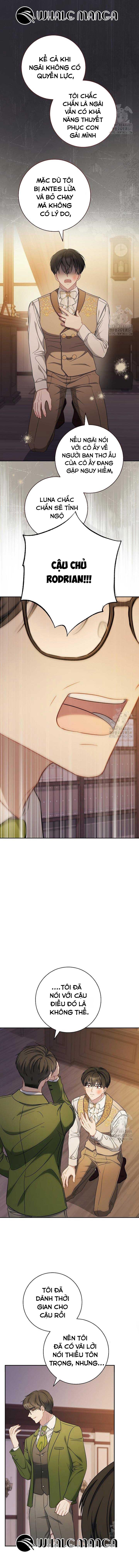 Nam Chính Có Cho Cũng Không Thèm - Chap 19