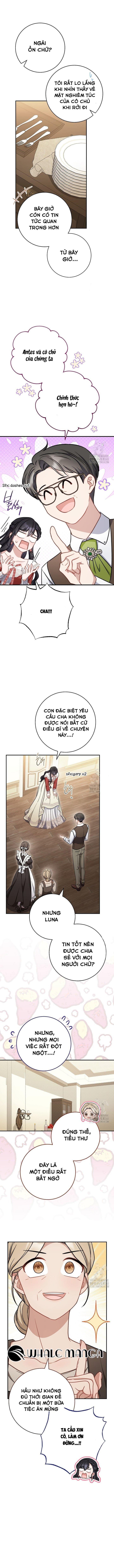 Nam Chính Có Cho Cũng Không Thèm - Chap 21
