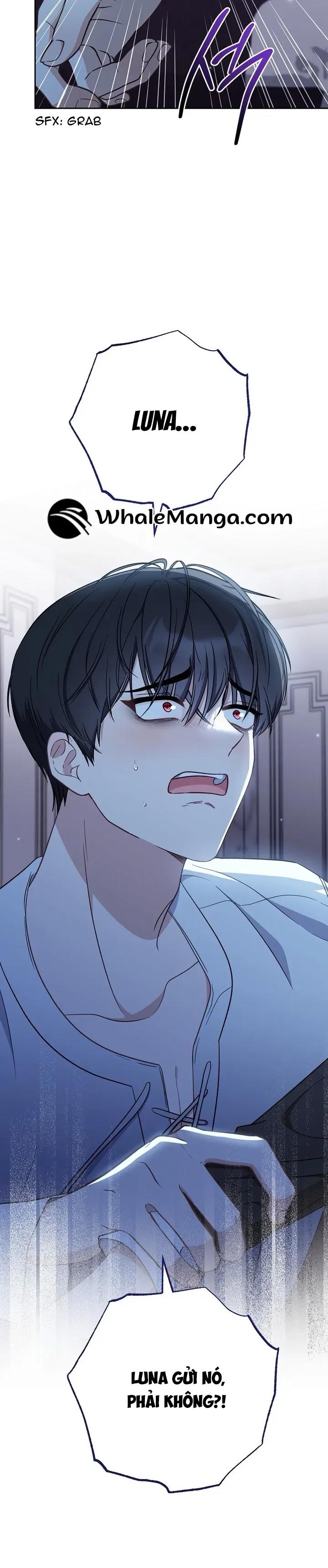 Nam Chính Có Cho Cũng Không Thèm - Chap 24