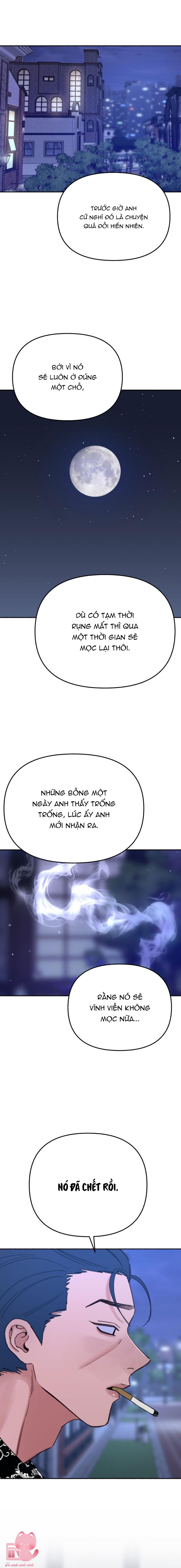 Nàng Thơ Điện Ảnh - Chap 86