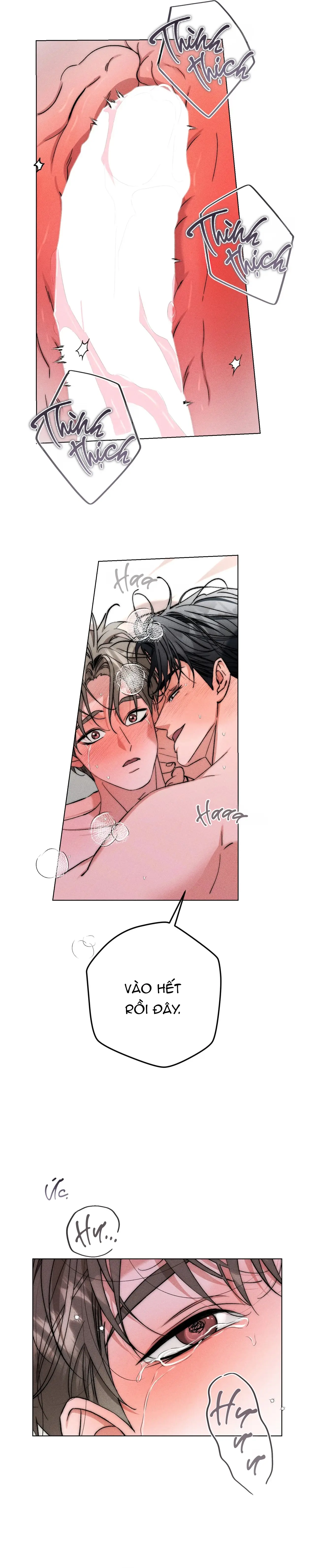 Người Đàn Ông Ngọt Như Kẹo Chap 23 - Next Chap 24