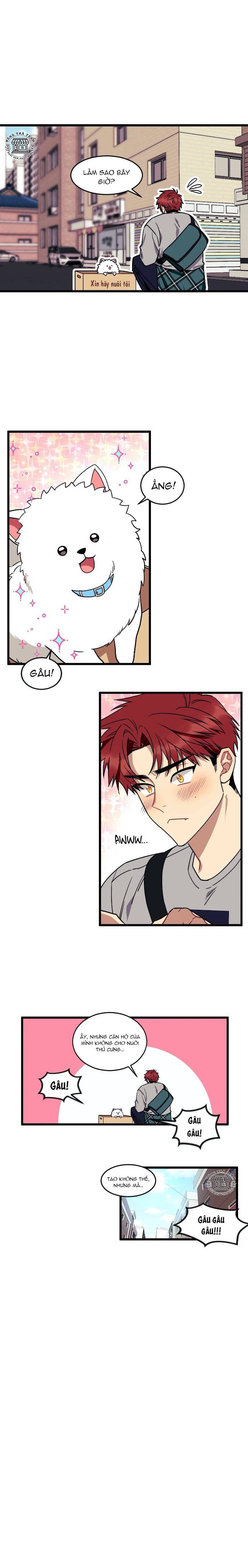 Nói Tôi Nghe Điều Ước Của Cậu! - Chap 11