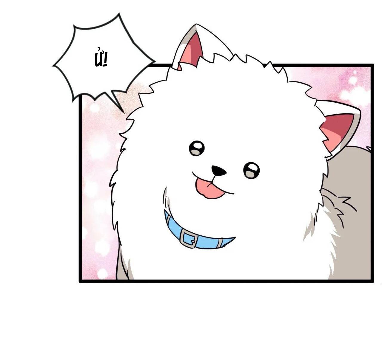 Nói Tôi Nghe Điều Ước Của Cậu! - Chap 12