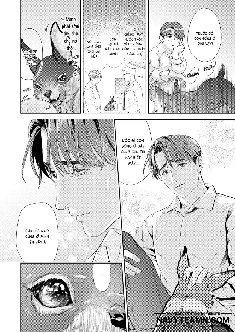 Nụ Hôn Ấy Hơn Cả Khoái Lạc Trên Da Thịt - Chap 1