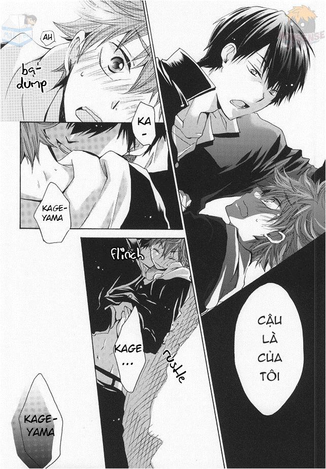 Oneshot hỏny - Chap 86