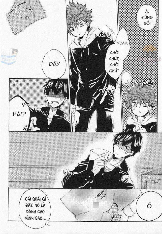 Oneshot hỏny - Chap 86