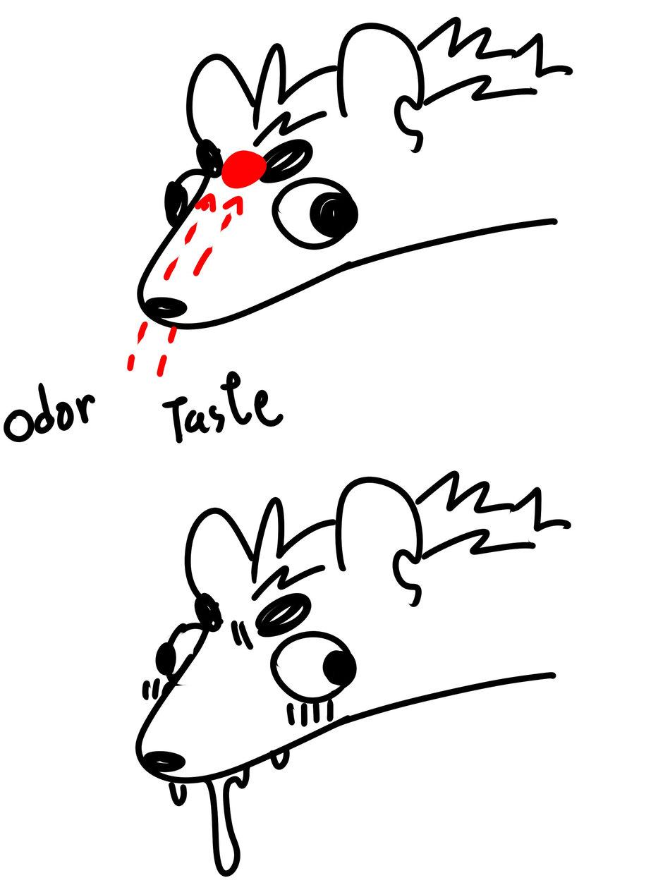 Oneshot Nhân Thú Mặn Mòi - Chap 22