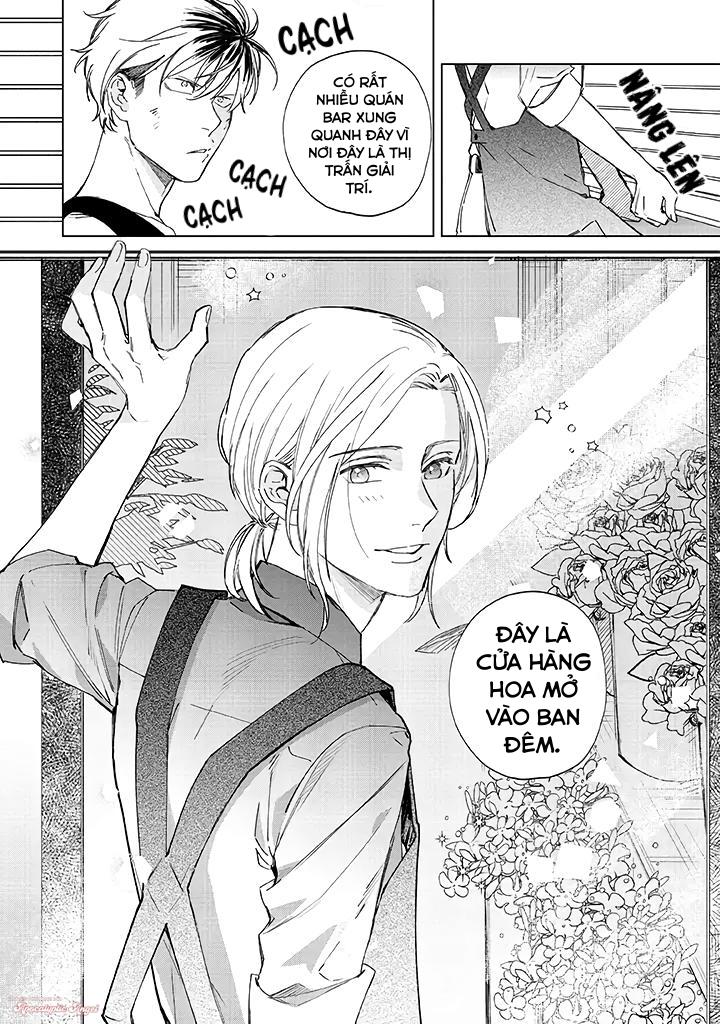 Ong Mật Và Tía Tô Đất - Chap 1