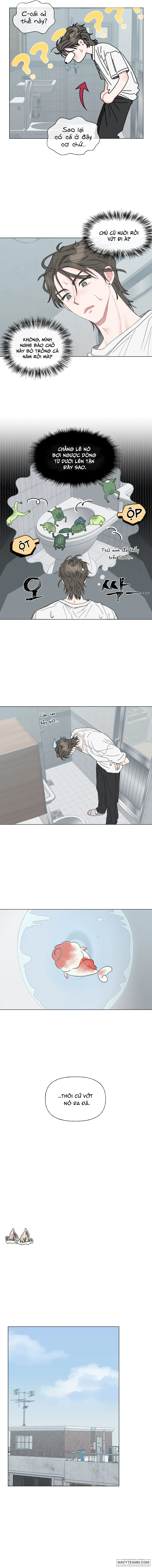 Oranda Siêu Cấp Đáng Yêu - Chap 1