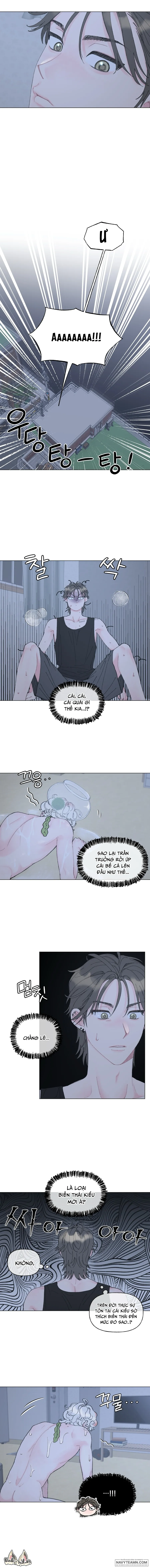 Oranda Siêu Cấp Đáng Yêu - Chap 2