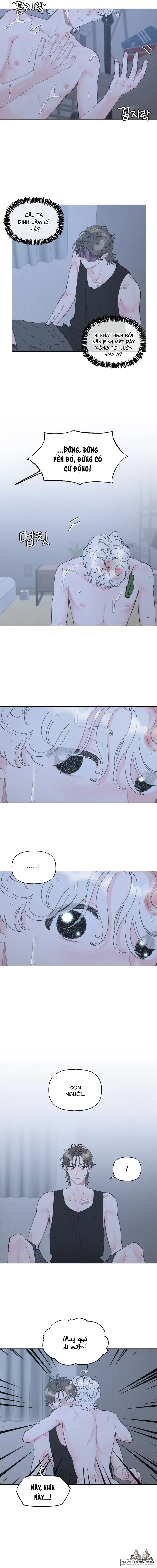 Oranda Siêu Cấp Đáng Yêu - Chap 2