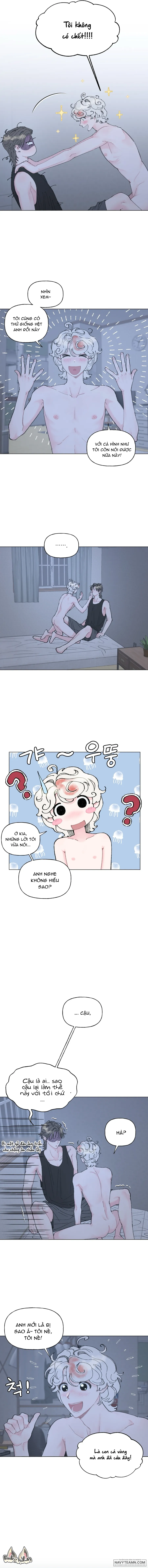 Oranda Siêu Cấp Đáng Yêu - Chap 2