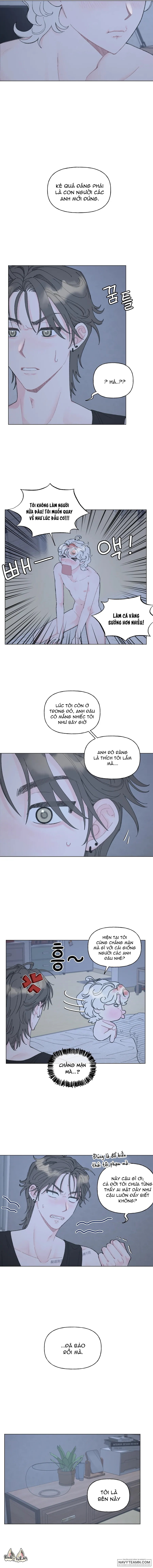 Oranda Siêu Cấp Đáng Yêu - Chap 2