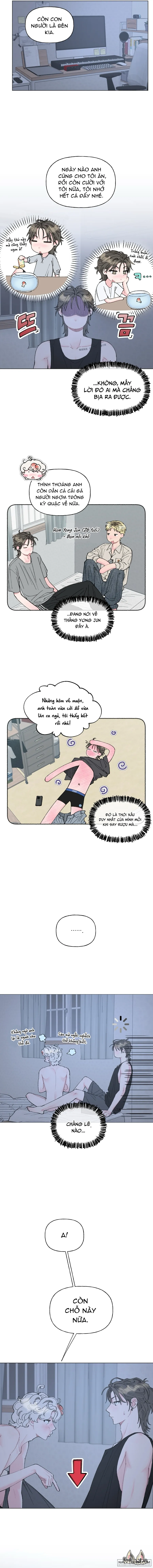 Oranda Siêu Cấp Đáng Yêu - Chap 2