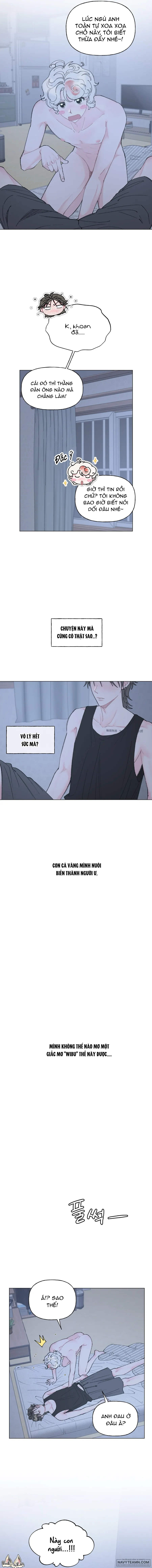 Oranda Siêu Cấp Đáng Yêu - Chap 2