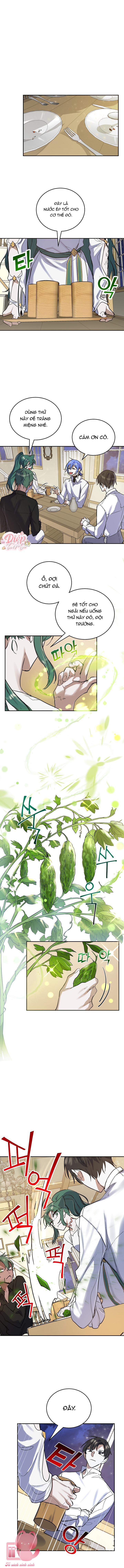 Phù Thủy Ẩm Thực - Chap 12