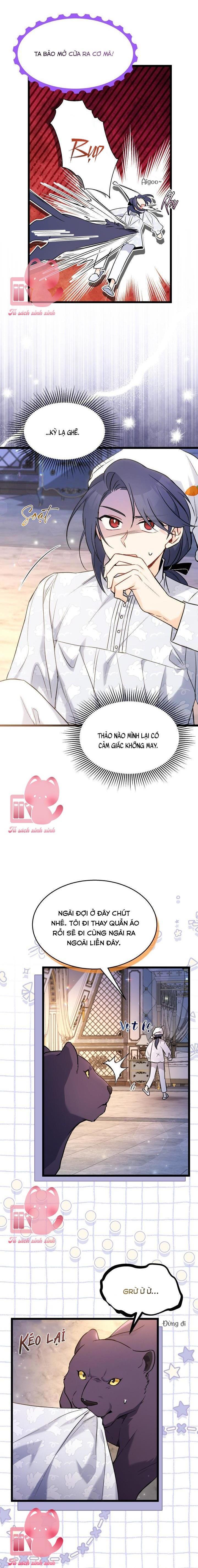 Quan Hệ Cộng Sinh Giữa Báo Đen Và Thỏ Trắng - Chap 111