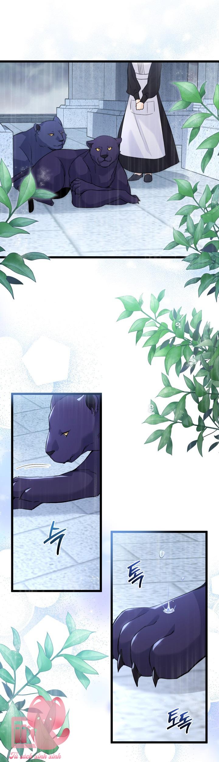 Quan Hệ Cộng Sinh Giữa Báo Đen Và Thỏ Trắng - Chap 121