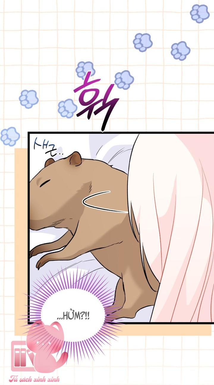 Quan Hệ Cộng Sinh Giữa Báo Đen Và Thỏ Trắng - Chap 123