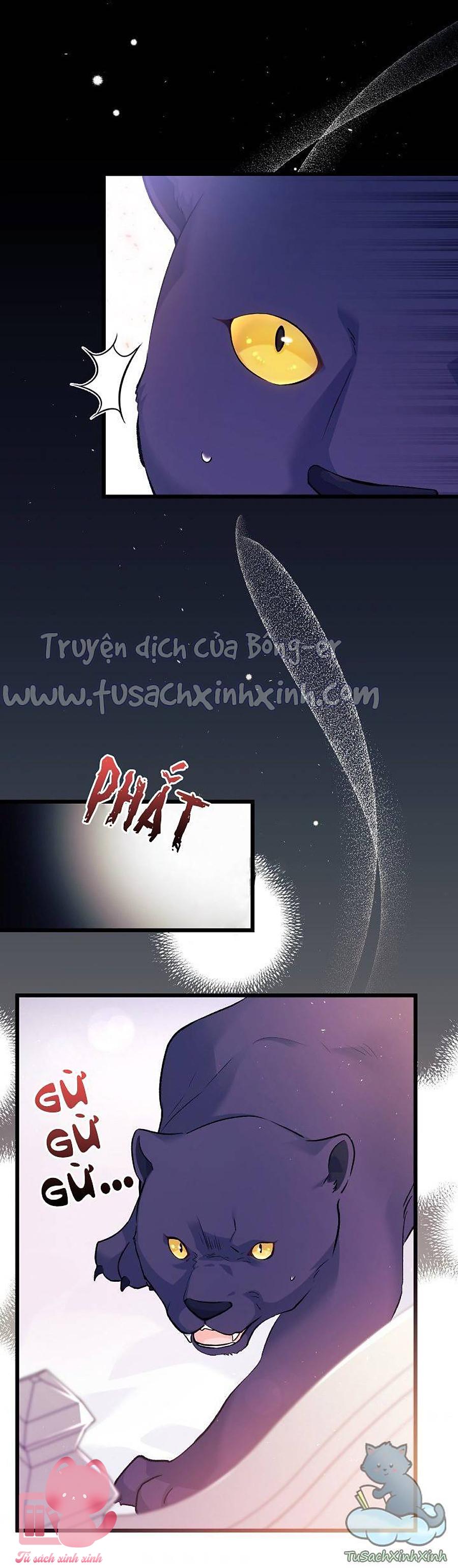 Quan Hệ Cộng Sinh Giữa Báo Đen Và Thỏ Trắng - Chap 40