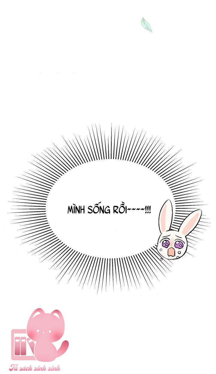 Quan Hệ Cộng Sinh Giữa Báo Đen Và Thỏ Trắng - Chap 48