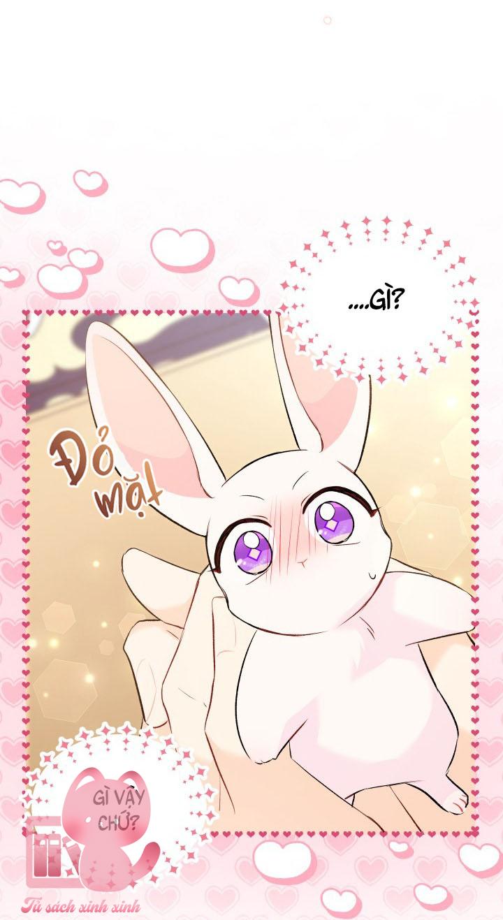 Quan Hệ Cộng Sinh Giữa Báo Đen Và Thỏ Trắng - Chap 56