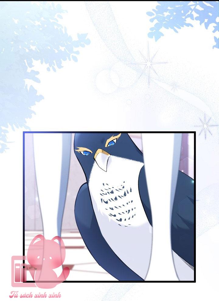 Quan Hệ Cộng Sinh Giữa Báo Đen Và Thỏ Trắng - Chap 57