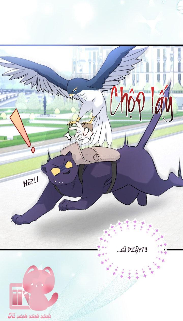 Quan Hệ Cộng Sinh Giữa Báo Đen Và Thỏ Trắng - Chap 60