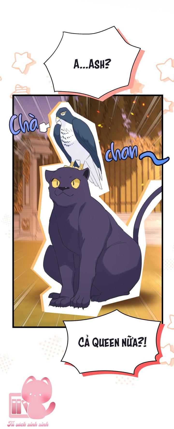 Quan Hệ Cộng Sinh Giữa Báo Đen Và Thỏ Trắng - Chap 68