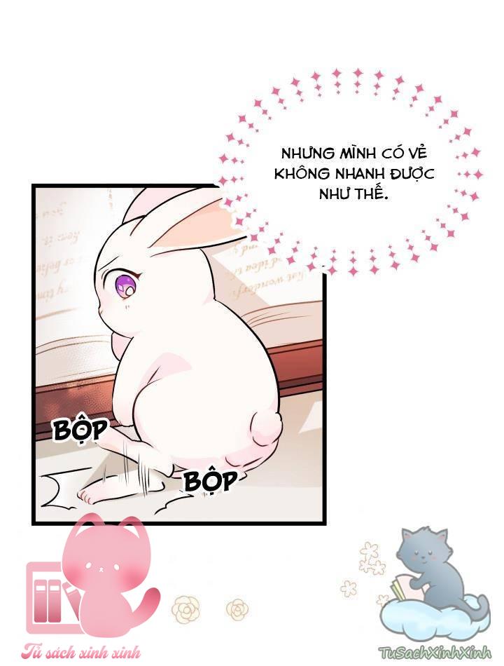 Quan Hệ Cộng Sinh Giữa Báo Đen Và Thỏ Trắng - Chap 8