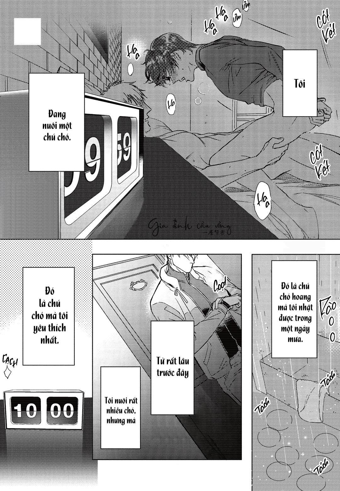 Sợi dây xích đứt - Chap 0