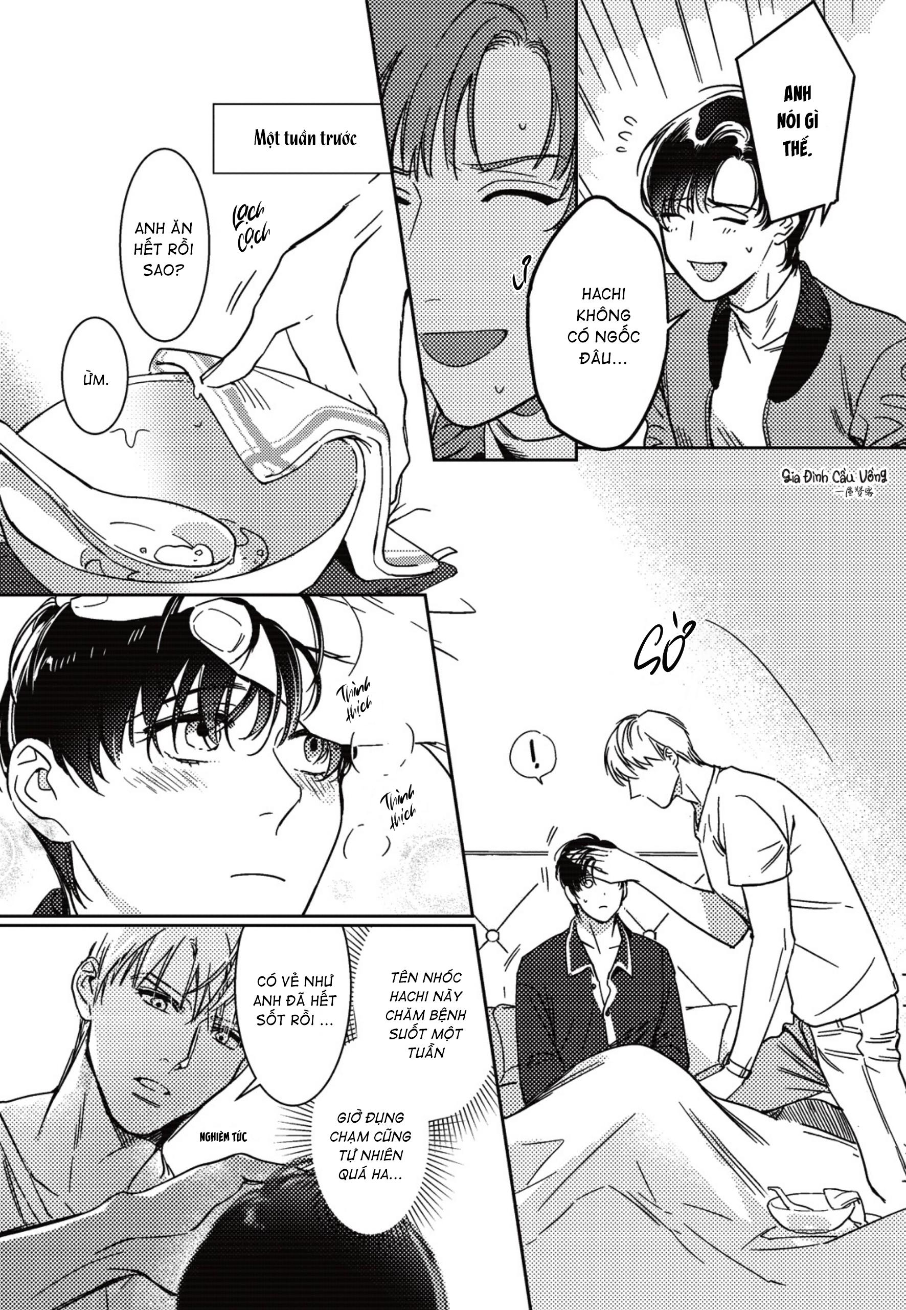 Sợi dây xích đứt - Chap 8