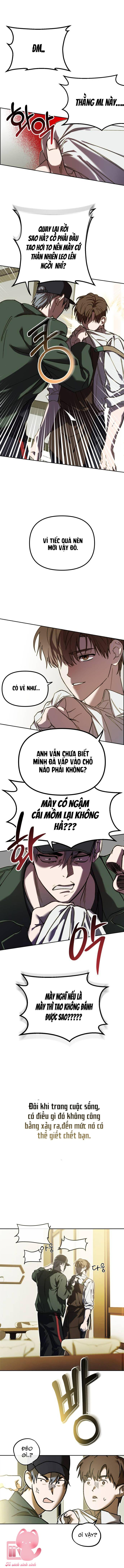 STARDUST PROJECT - Chap 1