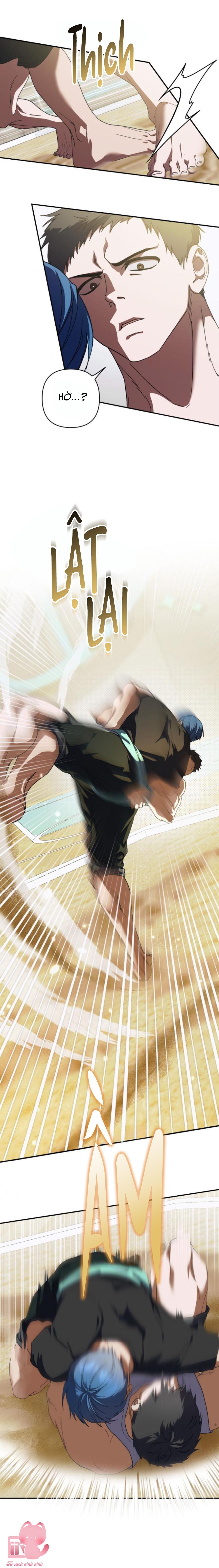 STARDUST PROJECT - Chap 10